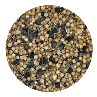 Bee-Friendly & Beneficial Insect Seed Blend