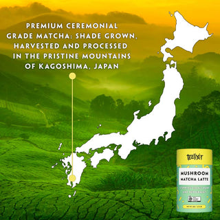 Teelixir Mushroom Matcha Latte with Lion's Mane (100g)