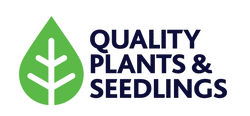 Quality Plants & Seedlings