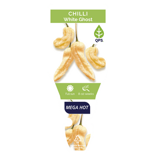 White Ghost Chilli Seedlings