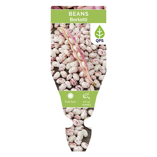 Borlotti Bean Seedlings