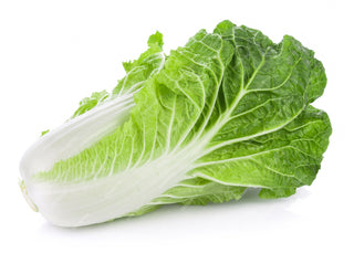 Chinese Cabbage (Wombok)