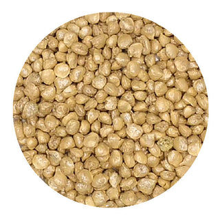 Certified Organic Spinach Seed