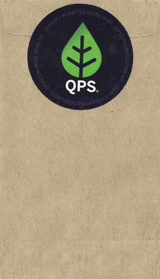 Certified Organic Carrot Seed