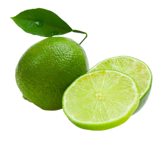 Tahitian lime trees