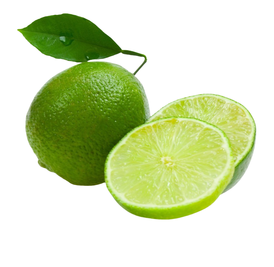 Tahitian lime trees Quality Plants & Seedlings