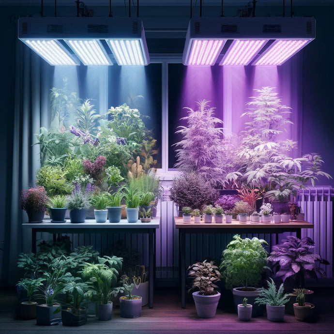 What do UV grow lights and LED grow lights offer indoor plants