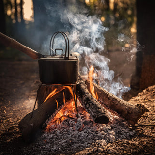 Native Trees with Dried Wood and Branches Used for Flavor in Cooking in Australia