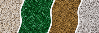 All Seed