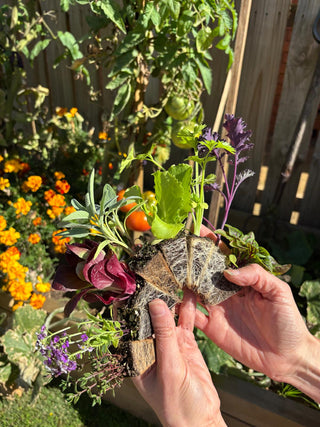 Growing Healthier Futures