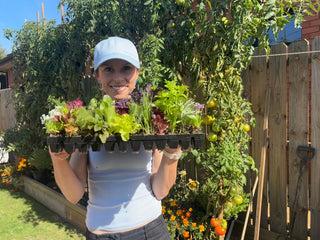 Growing Healthier Futures