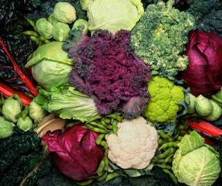 Veggie Value Packs