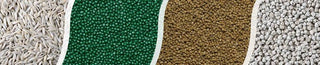 Premium Seed Collection – Grow Your Own Seedlings