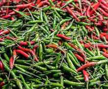 Load image into Gallery viewer, Birdseye Chilli (Hot)
