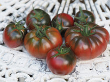 Load image into Gallery viewer, Tomato Seedling (Black Russian)
