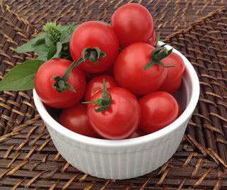 Cherry Tomato Seedling (Rapunzel)