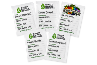 Carrot Seed Favorites (5 Pack)