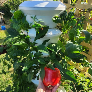 The Airgarden