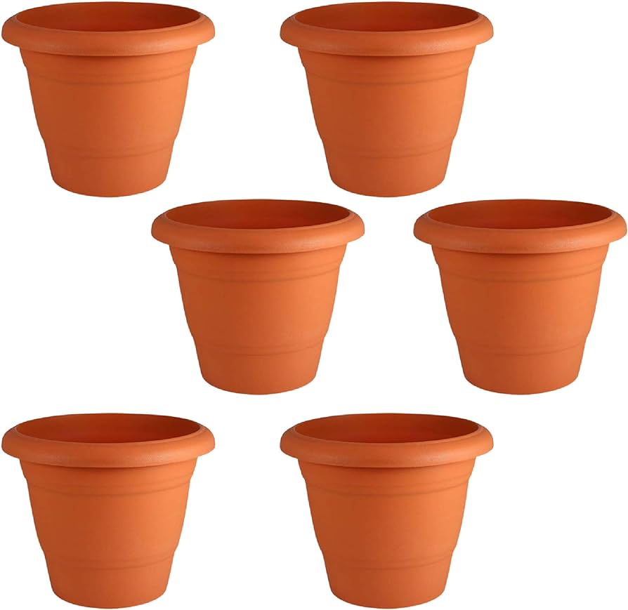 Pots (Decorative)