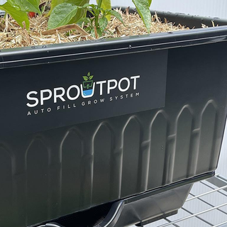 Sprout Pot Vegetable & Herb Wicking Bed