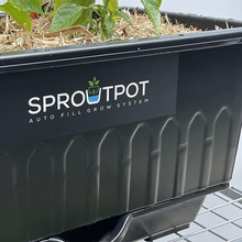 Load image into Gallery viewer, Sprout Pot Vegetable &amp; Herb Wicking Bed
