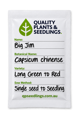 Big Jim pepper (Capsicum annuum)