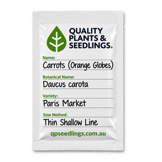 Carrot Seed (Paris Market)