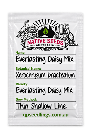 Everlasting Daisy Mix (Xerochrysum bracteatum)