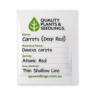 Carrot Seed (Atomic Red)