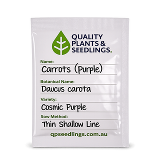 Carrot Seed (Comic Purple)