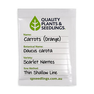 Carrot Seed (Scarlet Nantes)