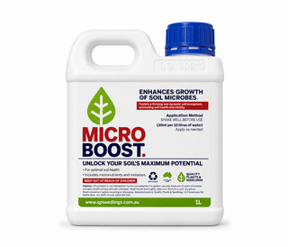 MicroBoost by QPS