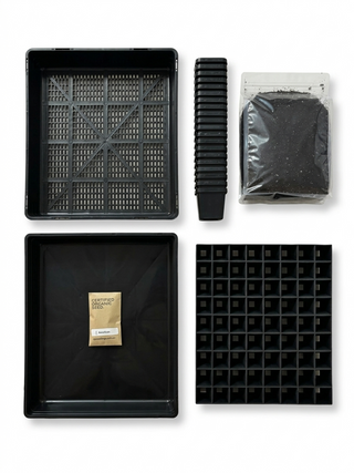 Seed Raising Kit – Christie Cooper × QPS Collaboration