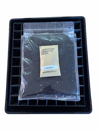 Seed Raising Kit – Christie Cooper × QPS Collaboration