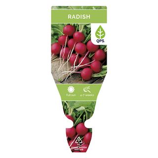 Radish