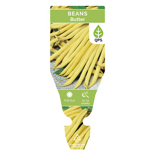 Butter Beans