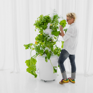 The Airgarden