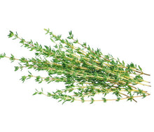 Load image into Gallery viewer, Thyme Seedlings
