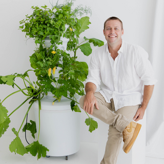 The Airgarden