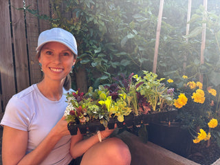 School Seedling Deliveries - Quality Plants & Seedlings