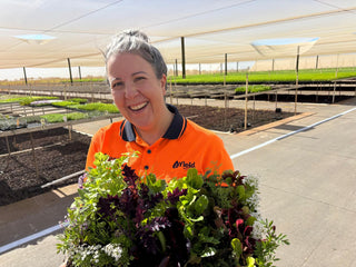 School Seedling Deliveries - Quality Plants & Seedlings