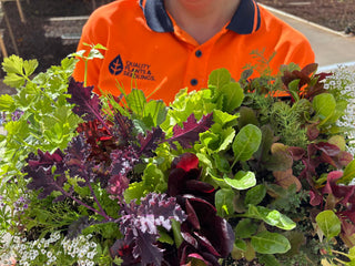 School Seedling Deliveries - Quality Plants & Seedlings