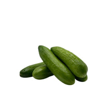 Load image into Gallery viewer, Cucumber (Mini Fingers) Seedlings
