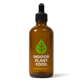 Indoor Plant Food