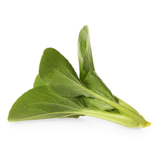 Choy Sum Seedlings
