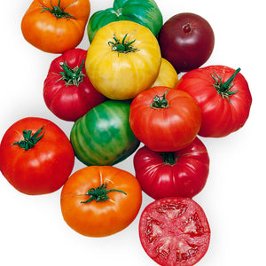 Tomato Heirloom Seedling (Rainbow Blend)