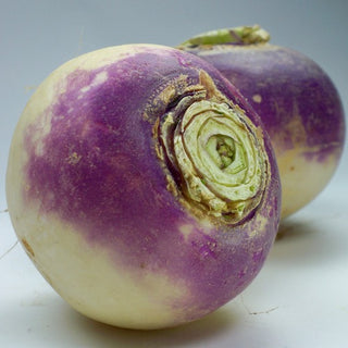 Swede (Laurentian) - Quality Plants & Seedlings
