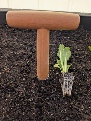 Wood & Steel Dibber – The Gardener's Best Friend for Precision Planting