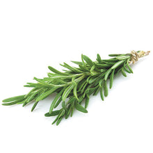 Load image into Gallery viewer, Rosemary Seedlings
