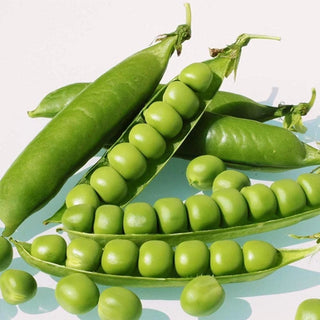 Pea Seedlings (Melbourne Market)